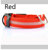Safety Dog LED Collar
