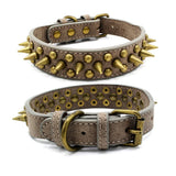 Bronze Pet Collar with Pointed Rivet Detailing Bold and Edgy Look - Alternative Gothic Dark Wear | Embrace Dark Aesthetic Men & Women Gothic Clothing