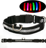 Safety Dog LED Collar