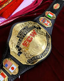 ECW World Championship Belt Replica