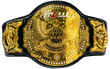 MLW National Openweight Championship