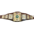 Stampede Wrestling NWA North American Wrestling Champion Belt