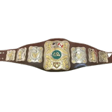 Stampede Wrestling NWA North American Wrestling Champion Belt