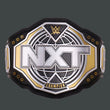 WWE NXT Championship 2024 Replica Title Belt