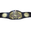 WWWF Junior Heavyweight Championship Replica Belt – Premium Replica by WWF Belt