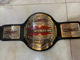 TNA X DIVISION REPLICA TITLE