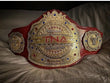 TNA LEGENDS REPLICA TITLE