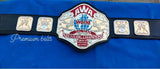AWA Tag Team AWA World Title World Heavyweight