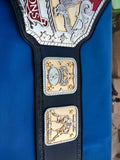 AWA Tag Team AWA World Title World Heavyweight