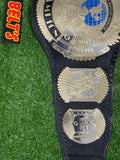 Hybrid Wing Eagle Big Eagle Championship Replica Belt