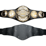 AEW Unified Championship Replica Belt