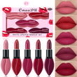 Simple And Versatile Matte Lipstick Set