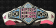 UpUpDownDown Championship Replica Title Belt