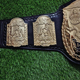 WWF Tag Team Championship Belt – Full Gold Version