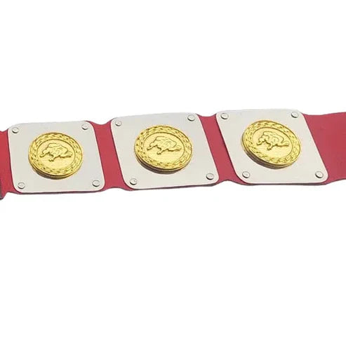 WWWF North American title Heavyweight Wrestling Champion Belt
