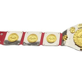 WWWF North American title Heavyweight Wrestling Champion Belt